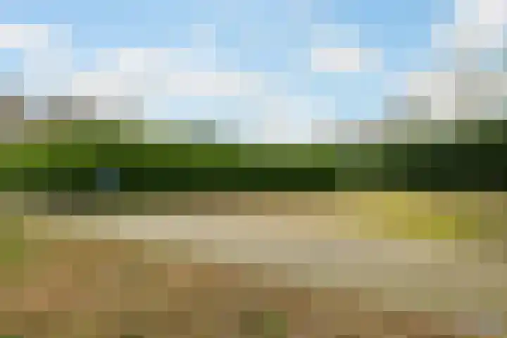 Kommerweg 3 Erica thumbnail 61