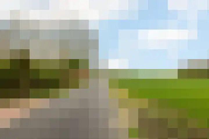 Kommerweg 3 Erica thumbnail 62