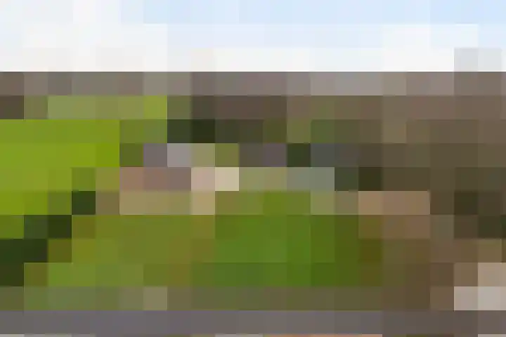 Kommerweg 3 Erica thumbnail 63