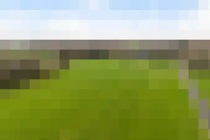 Kommerweg 3 Erica thumbnail 64