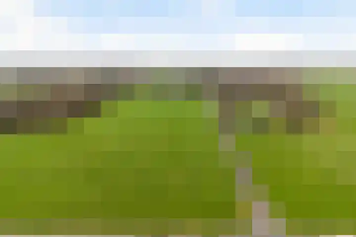Kommerweg 3 Erica thumbnail 65