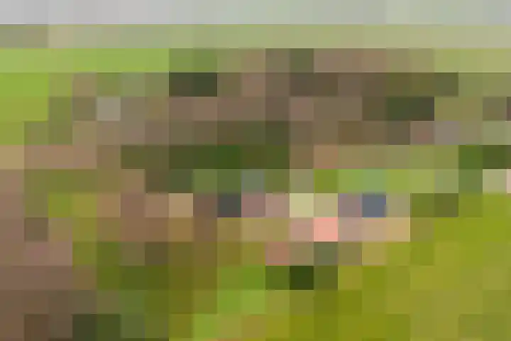 Kommerweg 3 Erica thumbnail 7