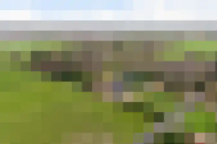 Kommerweg 3 Erica thumbnail 9