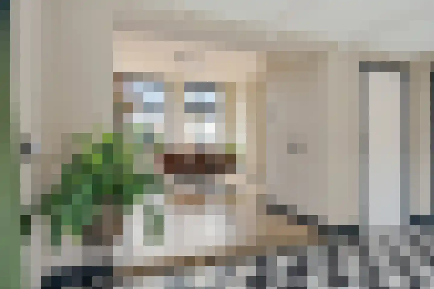 Kommisjewei 106 Opeinde thumbnail 25