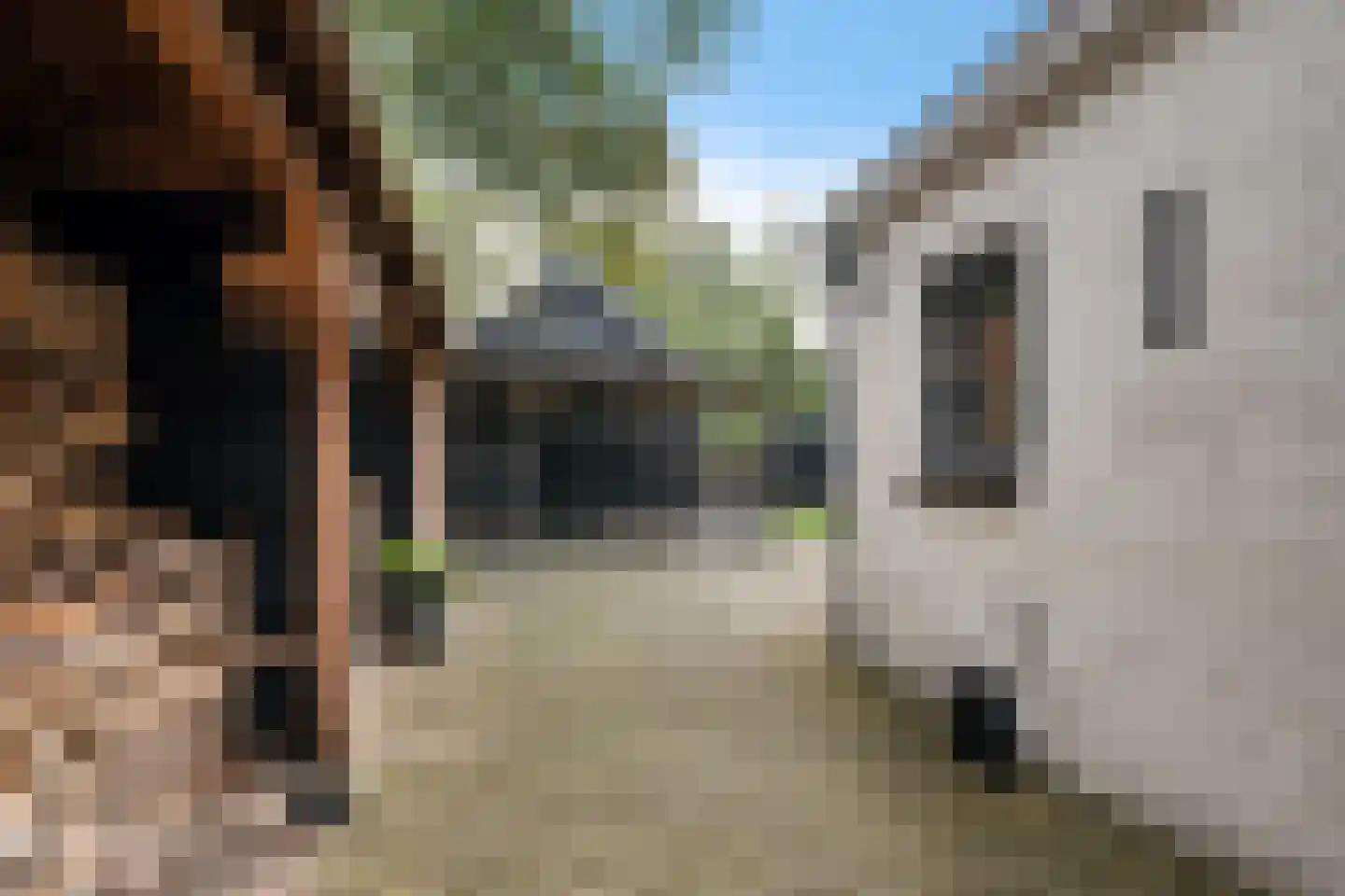 Kommisjewei 106 Opeinde thumbnail 42