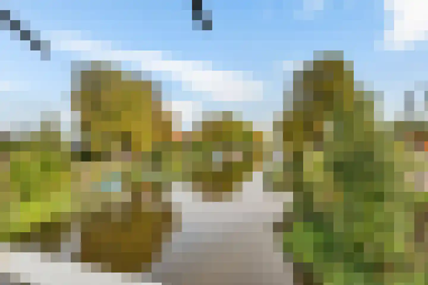 Kommisjewei 106 Opeinde thumbnail 49