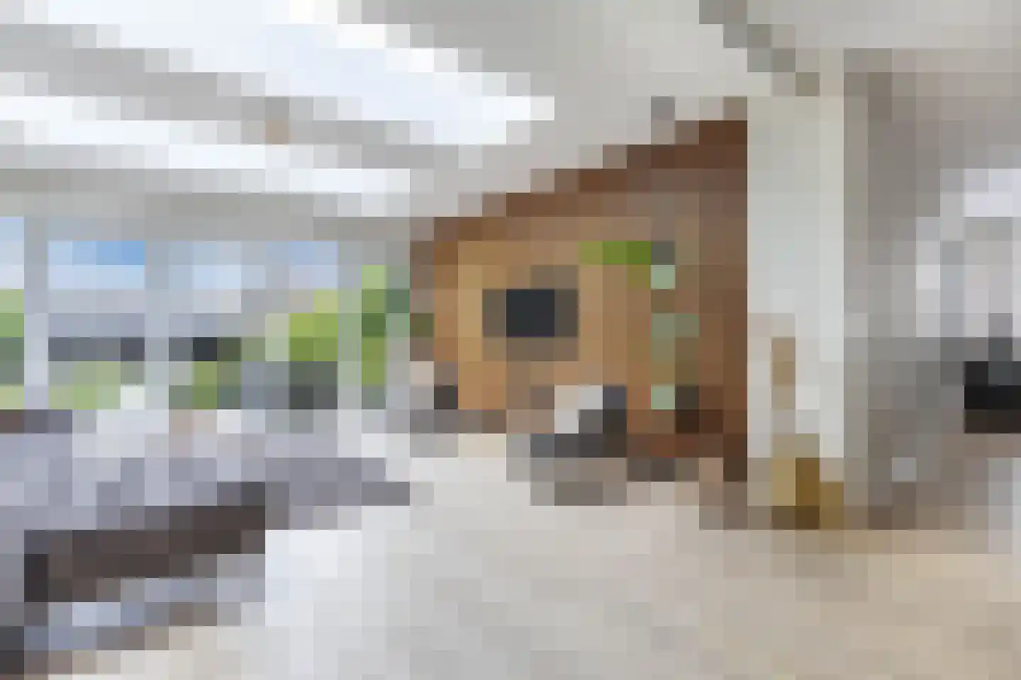 Kommisjewei 115 Opeinde thumbnail 11