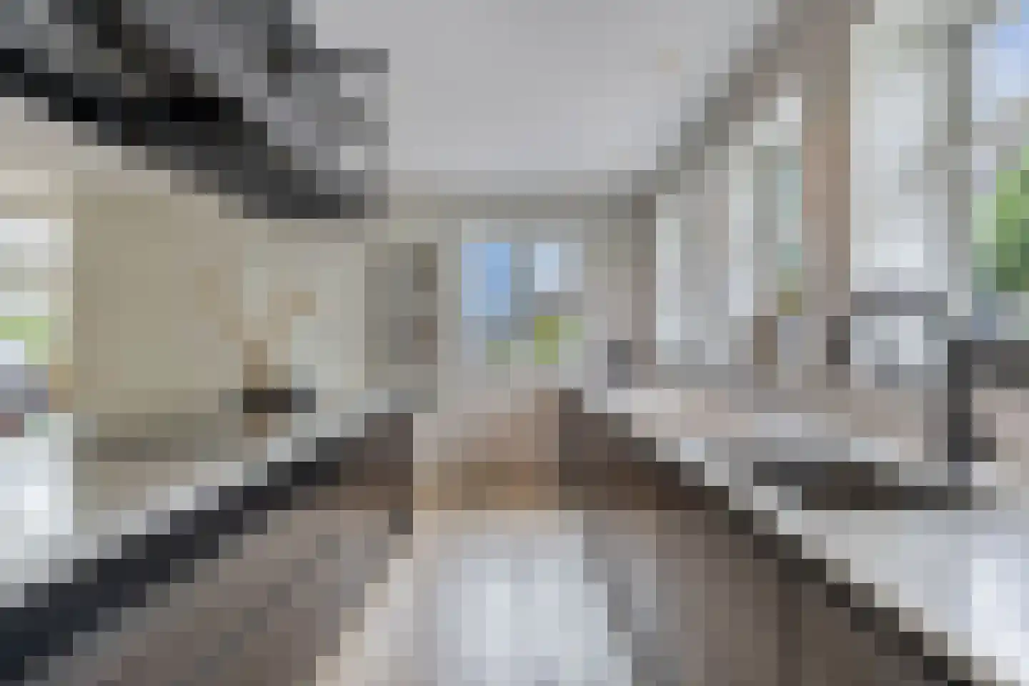 Kommisjewei 115 Opeinde thumbnail 23