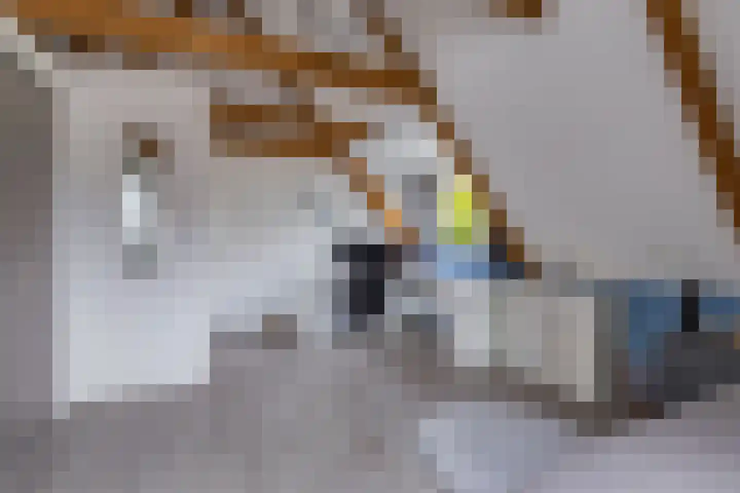 Kommisjewei 115 Opeinde thumbnail 40