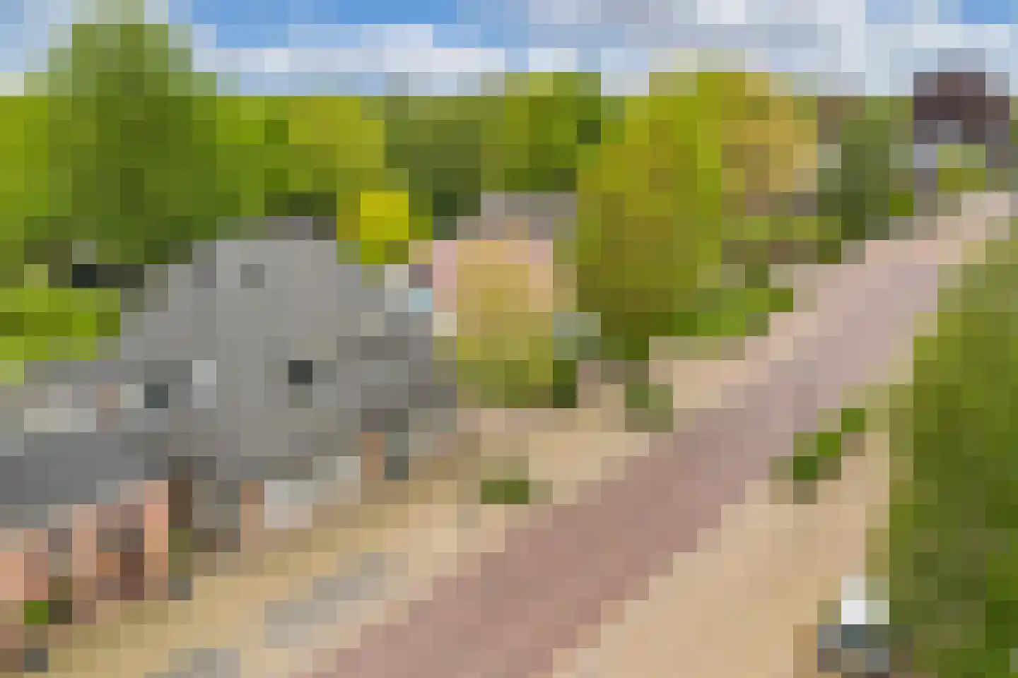 Kommisjewei 115 Opeinde thumbnail 66