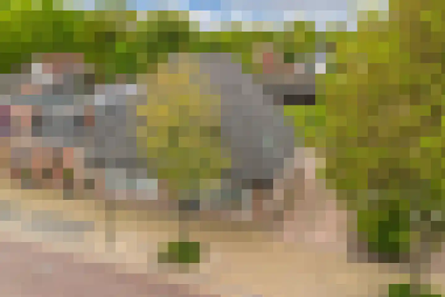 Kommisjewei 115 Opeinde thumbnail 67