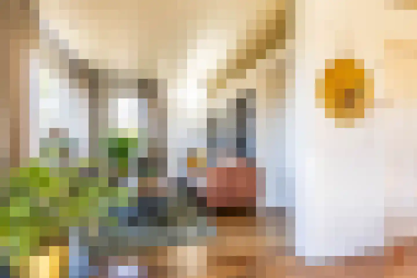 Kommisjewei 120 Opeinde thumbnail 18