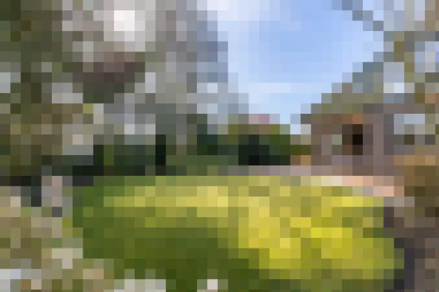 Kommisjewei 120 Opeinde thumbnail 38