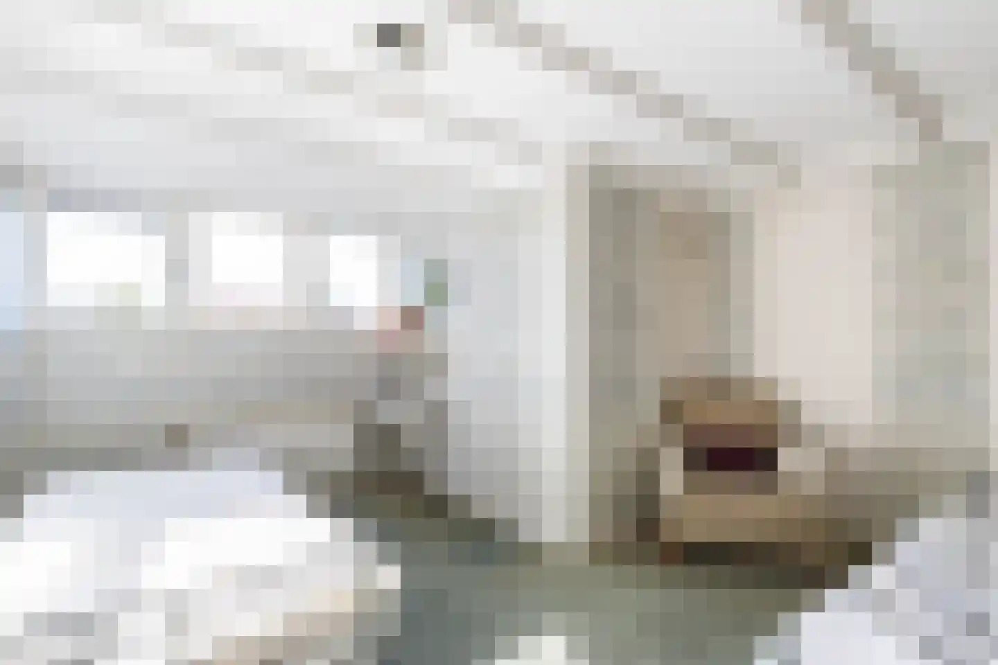 Kommisjewei 120 Opeinde thumbnail 47