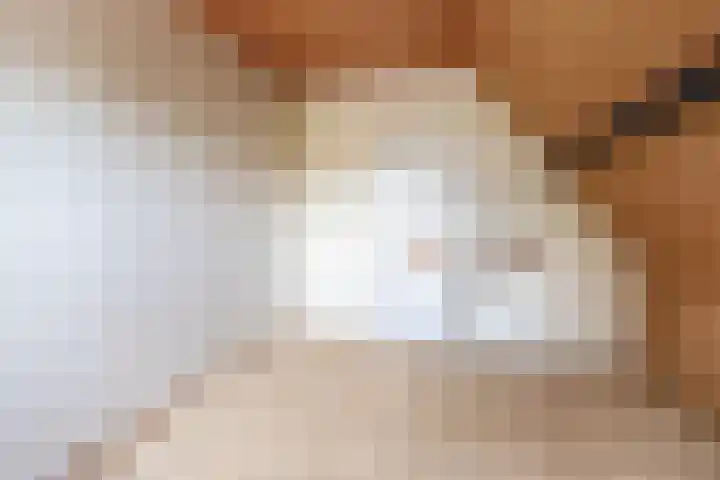 Kommisjewei 133 Opeinde thumbnail 28