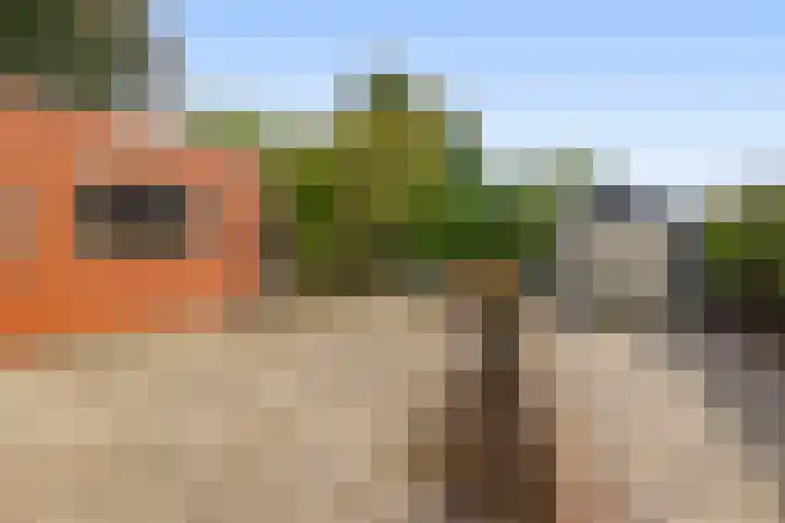 Kommisjewei 133 Opeinde thumbnail 36