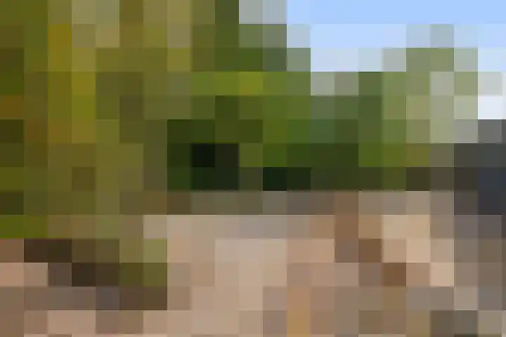 Kommisjewei 133 Opeinde thumbnail 38