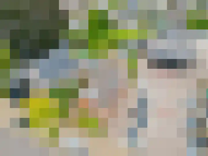 Kommisjewei 133 Opeinde thumbnail 41