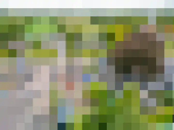 Kommisjewei 133 Opeinde thumbnail 43