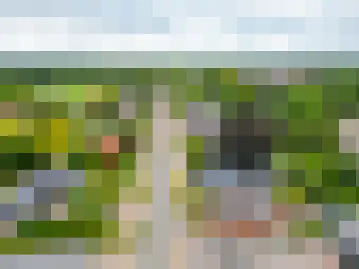 Kommisjewei 133 Opeinde thumbnail 44