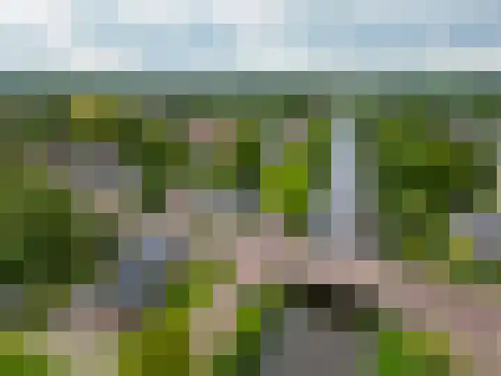 Kommisjewei 133 Opeinde thumbnail 46