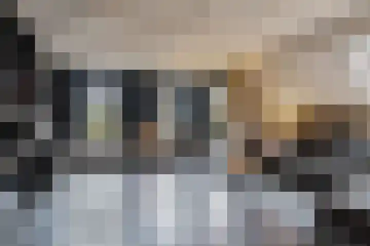 Kommisjewei 53 Nijega thumbnail 13