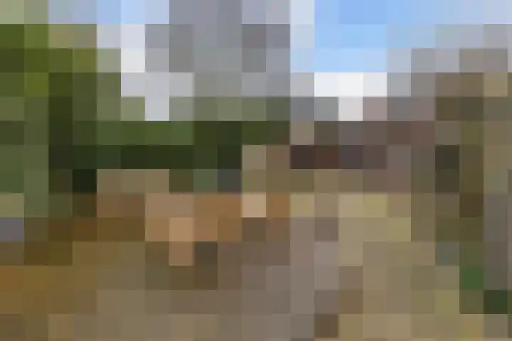 Kommisjewei 53 Nijega thumbnail 29