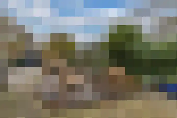 Kommisjewei 53 Nijega thumbnail 30