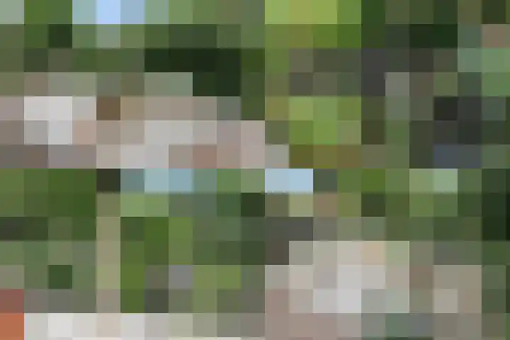 Kommisjewei 53 Nijega thumbnail 31