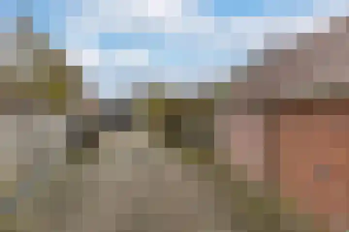 Kommisjewei 53 Nijega thumbnail 33
