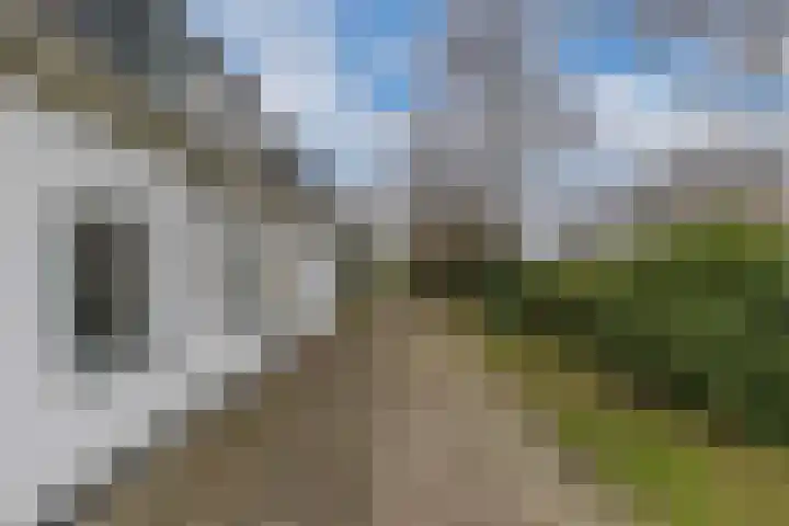 Kommisjewei 53 Nijega thumbnail 35