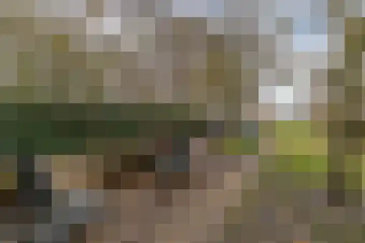 Kommisjewei 53 Nijega thumbnail 36