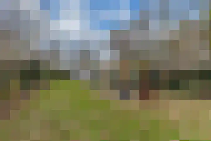 Kommisjewei 53 Nijega thumbnail 38