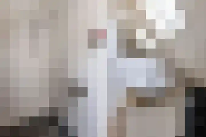 Kommisjewei 53 Nijega thumbnail 53