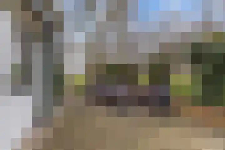 Kommisjewei 53 Nijega thumbnail 55