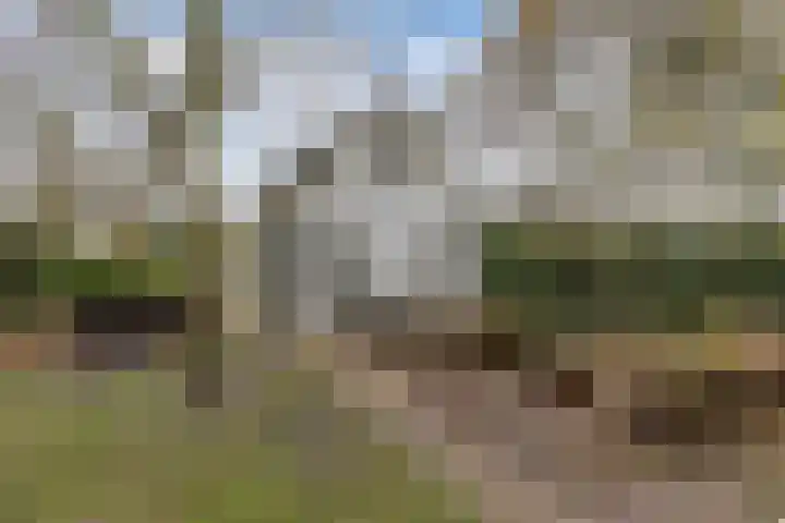 Kommisjewei 53 Nijega thumbnail 57