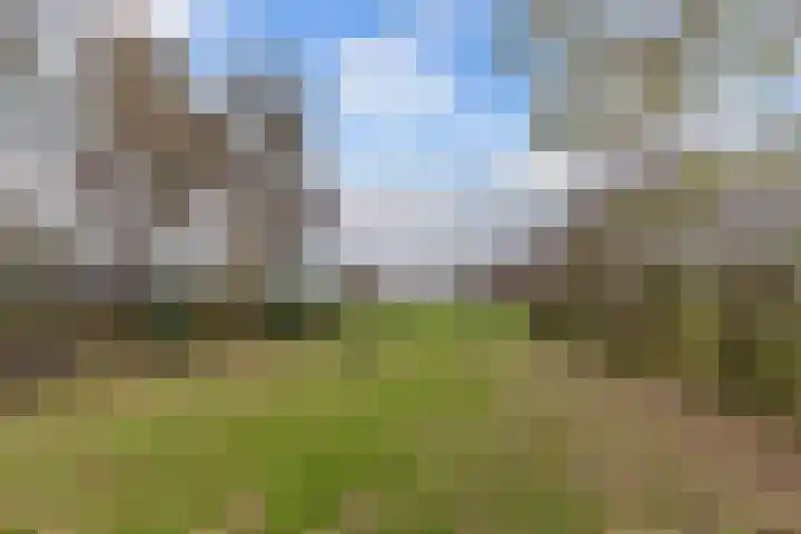 Kommisjewei 53 Nijega thumbnail 58
