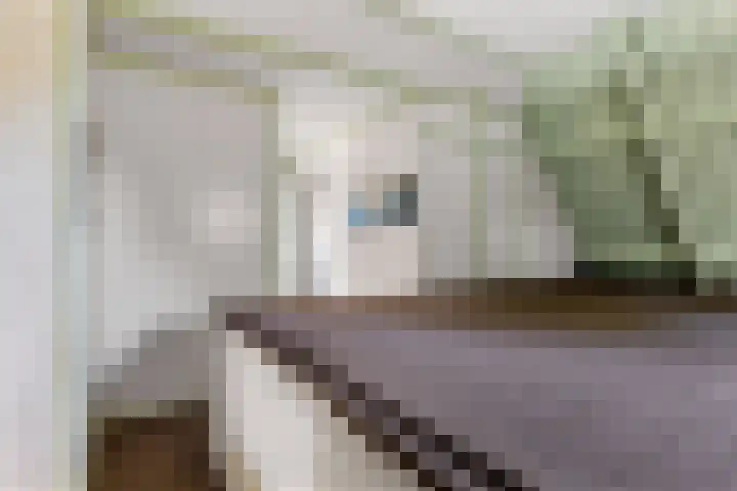 Kommisjewei 57 Nijega thumbnail 29