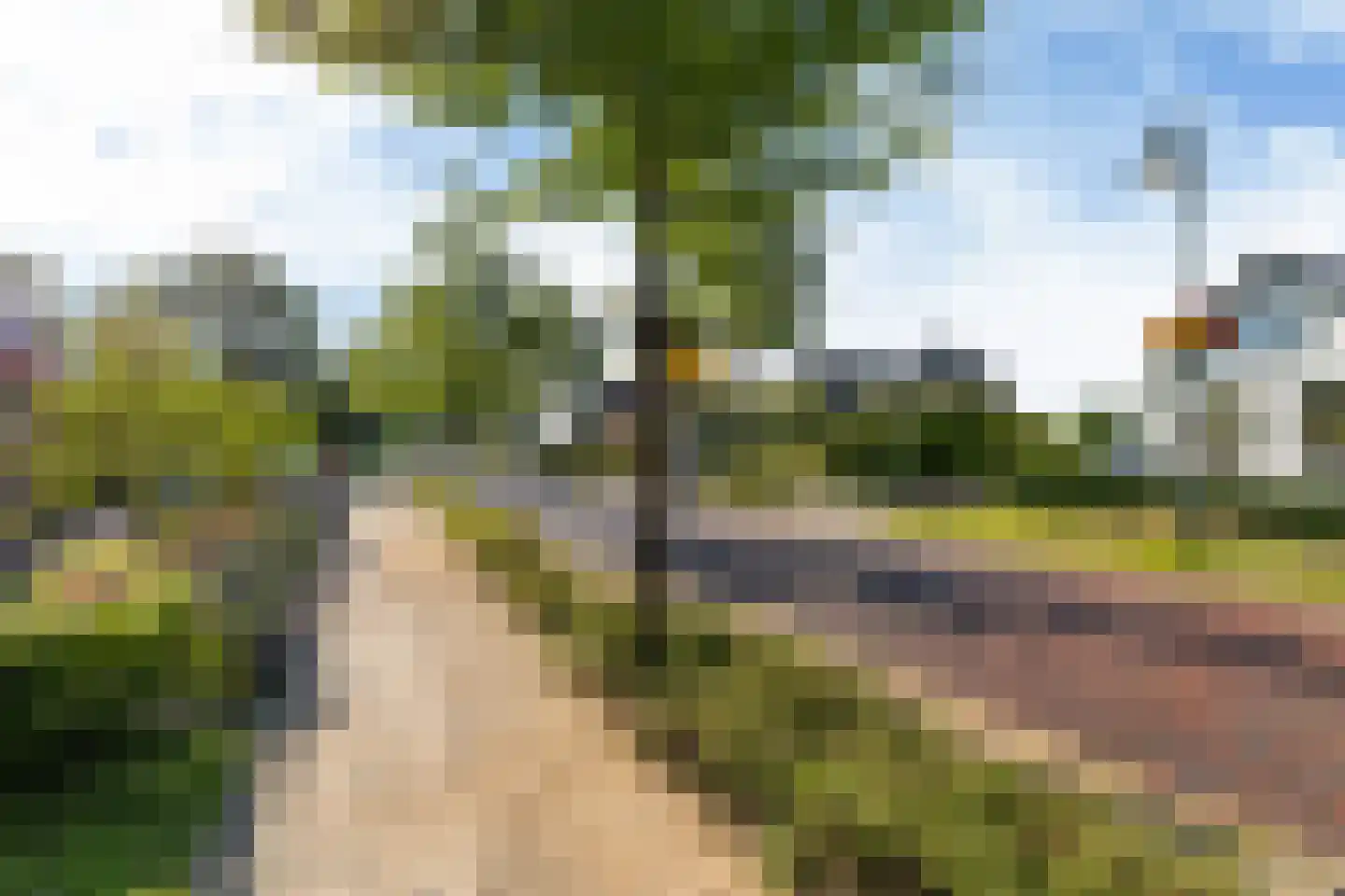 Kommisjewei 57 Nijega thumbnail 4