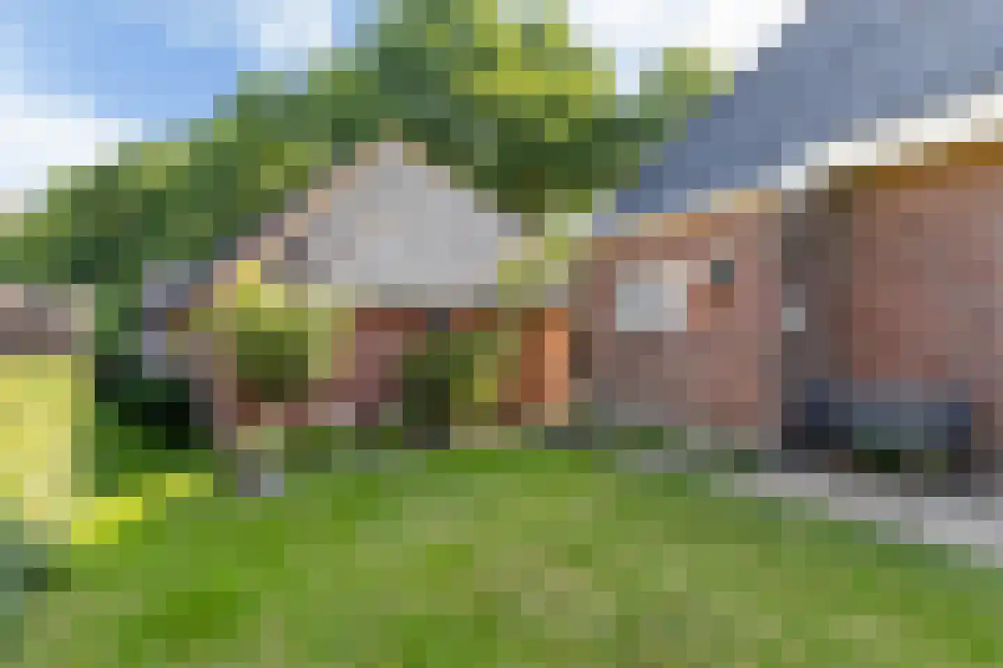 Kommisjewei 57 Nijega thumbnail 42