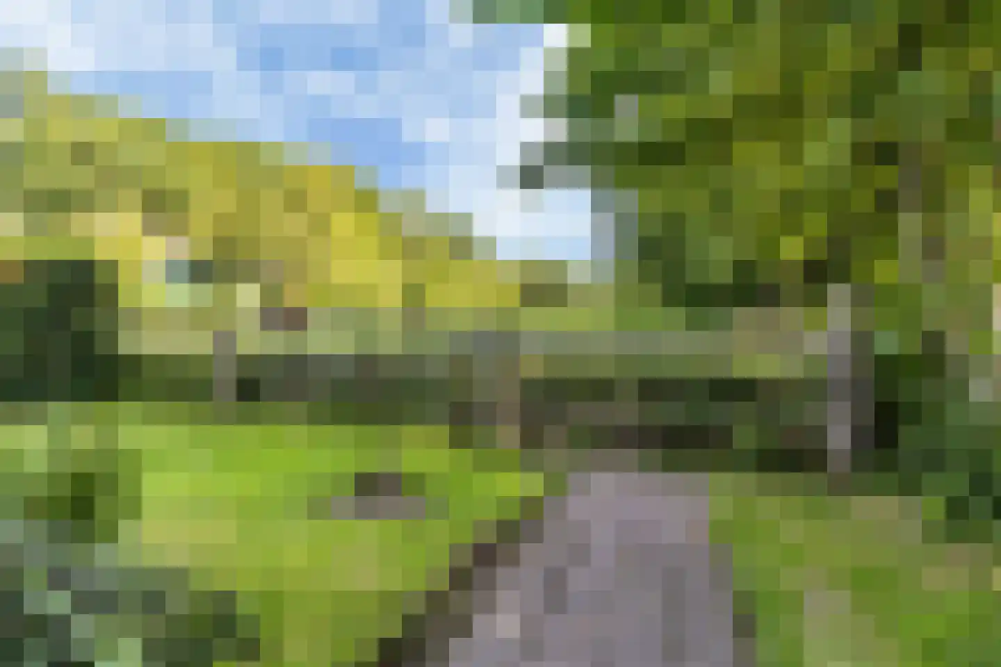 Kommisjewei 57 Nijega thumbnail 49