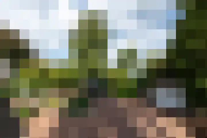 Kommisjewei 76 Opeinde thumbnail 33