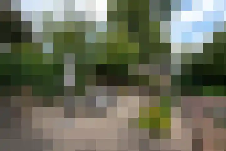 Kommisjewei 76 Opeinde thumbnail 35