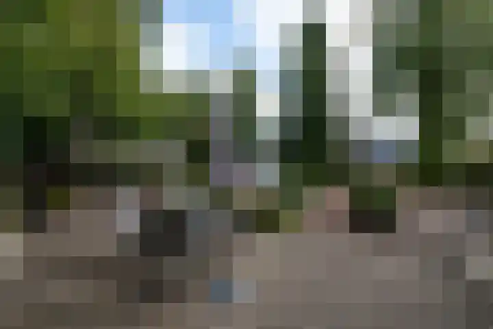 Kommisjewei 76 Opeinde thumbnail 36