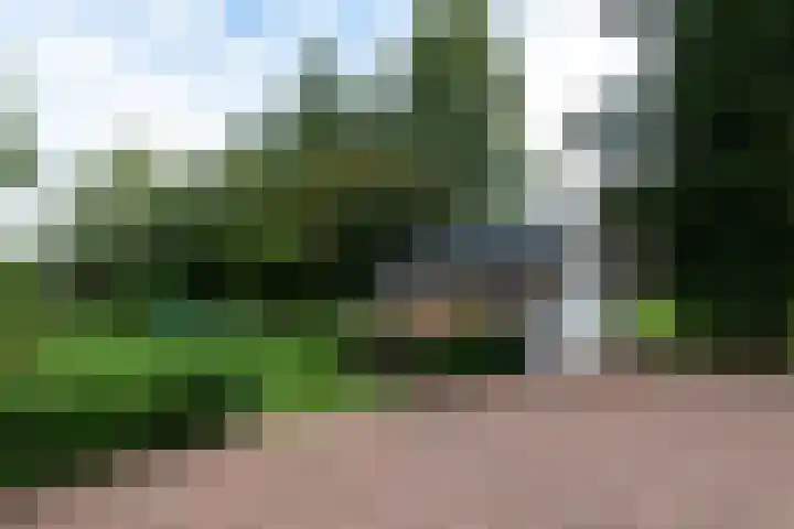 Kommisjewei 76 Opeinde thumbnail 38