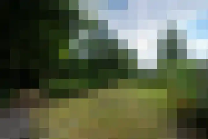 Kommisjewei 76 Opeinde thumbnail 45