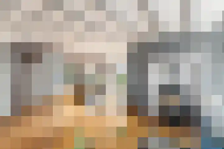 Kommisjewei 76 Opeinde thumbnail 8