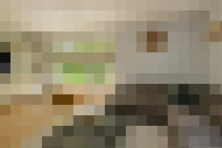 Komoord 5 Breda thumbnail 10