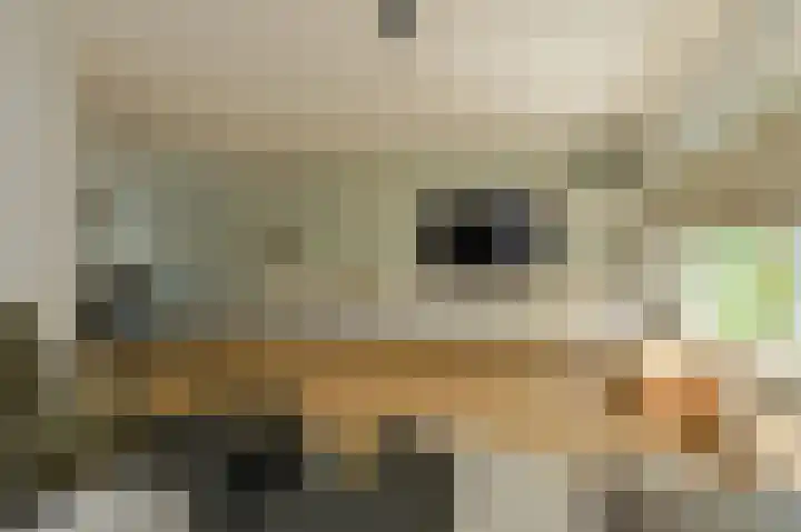Komoord 5 Breda thumbnail 11