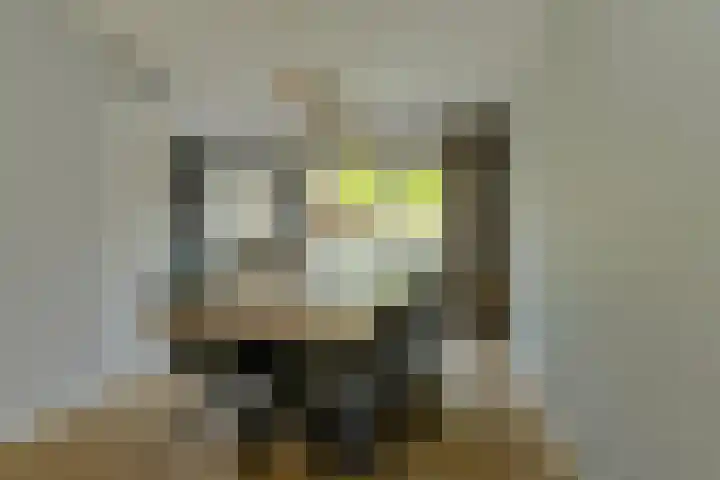 Komoord 5 Breda thumbnail 14